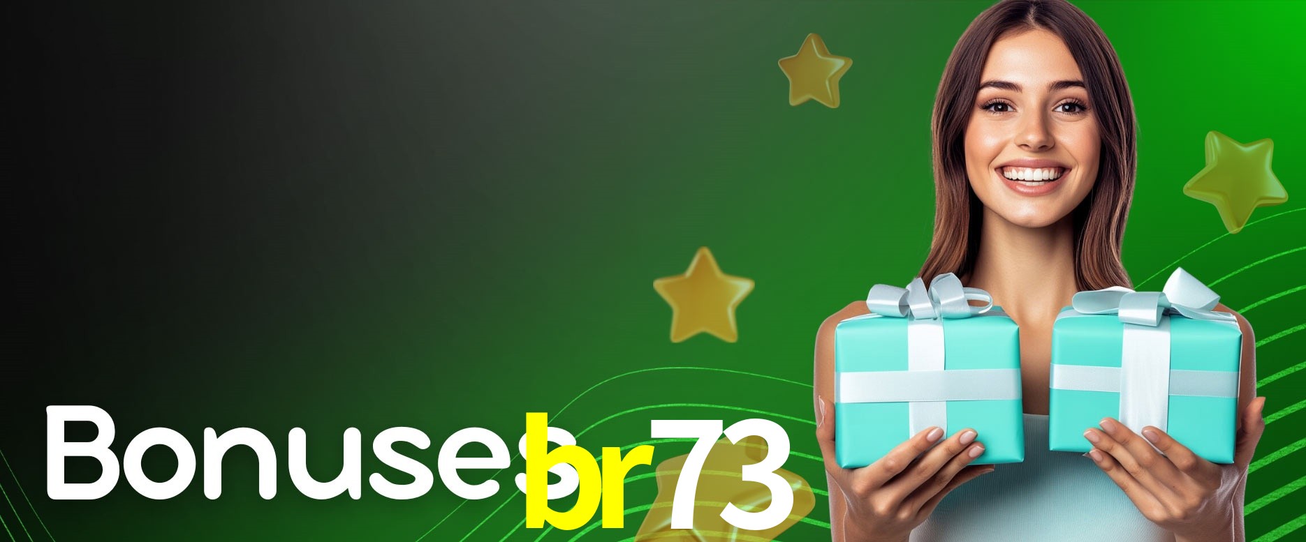 Security Systems br73