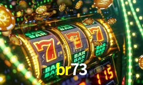 Flash Promotion br73