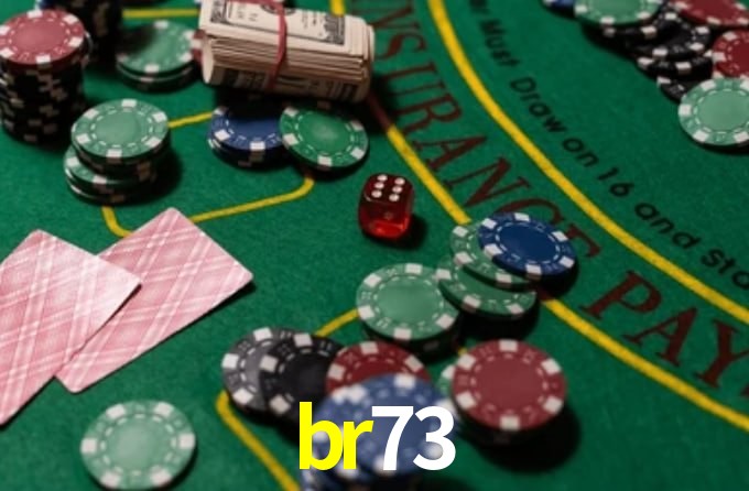 br73.com